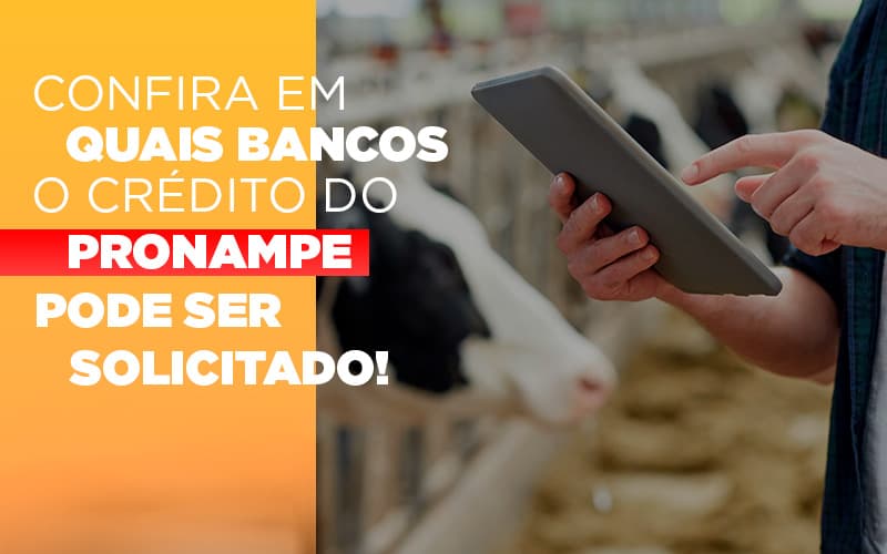 confira-em-quais-bancos-o-credito-pronampe-ja-pode-ser-solicitado - Confira em quais bancos o crédito do Pronampe já pode ser solicitado! confira-em-quais-bancos-o-credito-pronampe-ja-pode-ser-solicitado - Confira em quais bancos o crédito do Pronampe já pode ser solicitado!