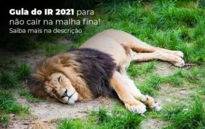 Guia Ir 2021 Para Nao Cair Na Malha Fina Saiba Mais Na Descricao Post 1 - Contabilidade em São Paulo - SP | Contabilidade Real