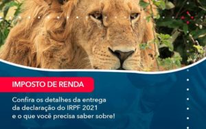 Confira Os Detalhes Da Entrega Da Declaracao Do Irpf 2021 E O Que Voce Precisa Saber Sobre 1 - Contabilidade na Zona Sul
